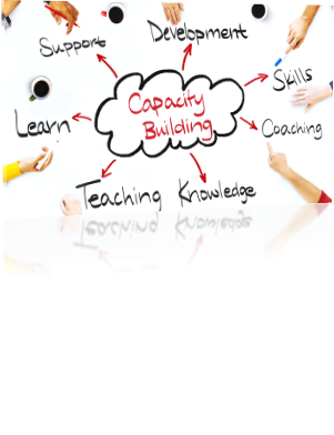 Capacity Building - Prin International Consultancy